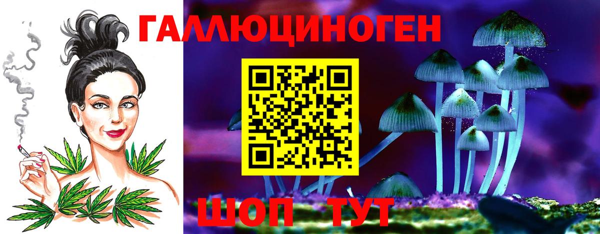Галлюциногенные грибы мухоморы  наркотики  Шебекино  Вход с VPN 