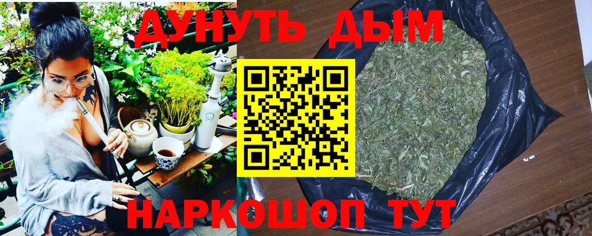 Бошки марихуана сатива Шебекино